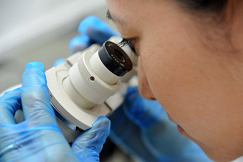 Medical researcher viewing microbes through a microscope