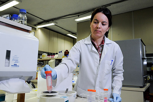 Bioscience researcher checking test tubes